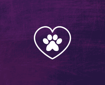 Imagem da facilidade Praça pet